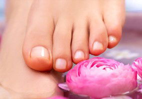 Indulge Spa Retreat - Accommodation NT 3