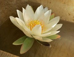 St Georges Natural Health Therapies - Accommodation NT 3