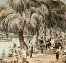 Joshua McClelland Print Room - Accommodation NT