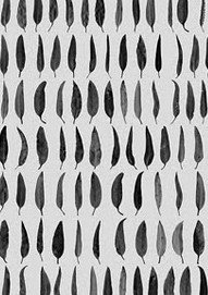 Carbon Black Gallery - Accommodation NT 1