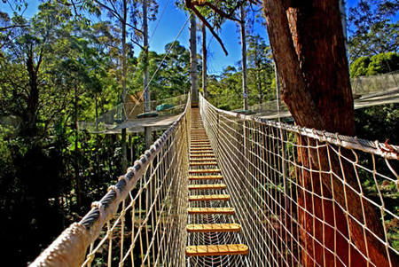 Thunderbird Park - Accommodation NT 0