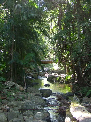 Thunderbird Park - Accommodation NT 2