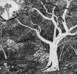 Tacit Contemporary Art - Accommodation NT