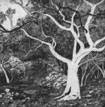 Tacit Contemporary Art - Accommodation NT 0