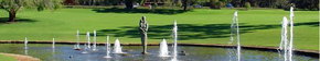 Kings Park Botanic Gardens - Accommodation NT 3