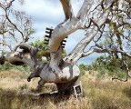 Colour Factory Gallery - Accommodation NT 3