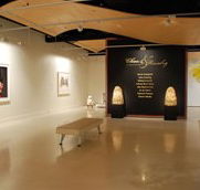 Counihan Gallery In Brunswick - Accommodation NT