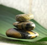 The Nature of Balance - Accommodation NT