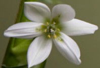 Soul Treat - Accommodation NT 2