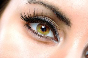 Beauty On Ryrie - Accommodation NT 1