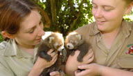 Mogo Zoo - Accommodation NT 3