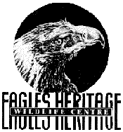 Eagles Heritage - Accommodation NT
