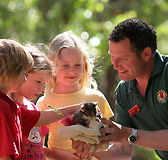 Cleland Wildlife Park - Accommodation NT