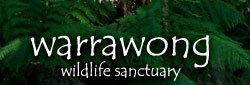 Warrawong Wildlife Park - Accommodation NT 0