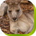 Calmsley Hill City Farm - Accommodation NT 0