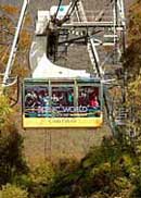 Scenic World Blue Mountains - Accommodation NT 1