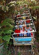 Scenic World Blue Mountains - Accommodation NT 2