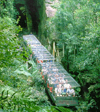 Scenic World Blue Mountains - Accommodation NT 3