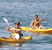 Manly Kayaks - Accommodation NT