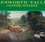 Glenworth Valley Horseriding - Accommodation NT