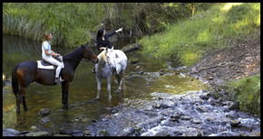 Glenworth Valley Horseriding - Accommodation NT 1