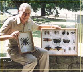 Butterfly Farm - Accommodation NT 1