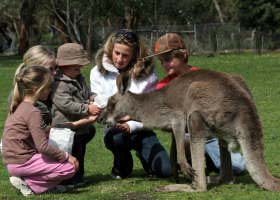 Gumbuya Park - Accommodation NT 1