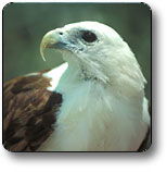 Kakadu National Park - Accommodation NT 0