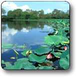 Kakadu National Park - Accommodation NT 3