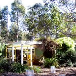 Koala Conservation Centre - Accommodation NT 1
