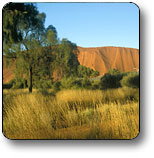 Uluru - Kata Tjuta National Park - Accommodation NT 0