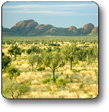 Uluru - Kata Tjuta National Park - Accommodation NT 2