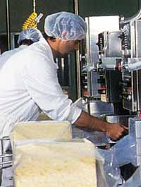 Allansford Cheese World - Accommodation NT 1