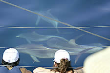 Temptation Sailing - Accommodation NT 2