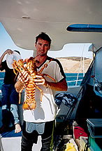 Temptation Sailing - Accommodation NT 3