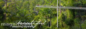 Rainforest Skywalk - Accommodation NT 2