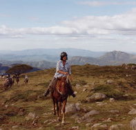 High Country Horses - Accommodation NT