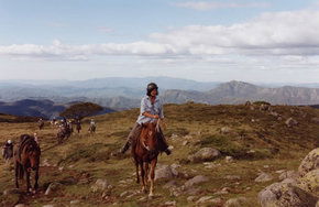 High Country Horses - Accommodation NT 0