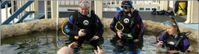 Scuba World - Accommodation NT 2