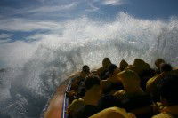 Jetboating Sydney - Accommodation NT 1