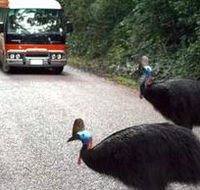Kookaburra Tours - Accommodation NT
