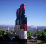 Mount Tamborine Winery  Homestead - Accommodation NT