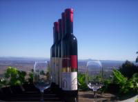Mount Tamborine Winery & Homestead - Accommodation NT 0