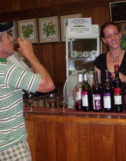 Mount Tamborine Winery & Homestead - Accommodation NT 2