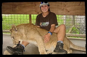 Cairns Wildlife Safari Reserve - Accommodation NT 1