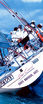 Koala Adventures - Accommodation NT 1