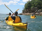Sydney Harbour Kayaks - Accommodation NT 1