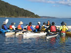 Sydney Harbour Kayaks - Accommodation NT 2