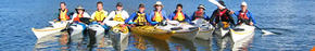 Sydney Harbour Kayaks - Accommodation NT 3