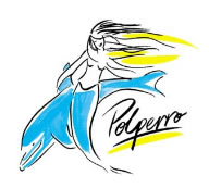 Polperro Dolphin Swims - Accommodation NT 0